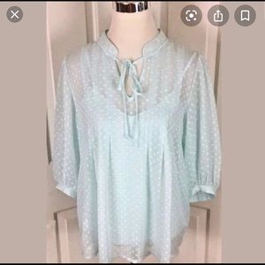 Daniel Rainn Sheer Green Dot Blouse